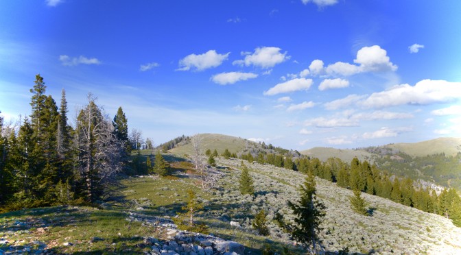 Butte Mountain Biking, Montana Bikepacking