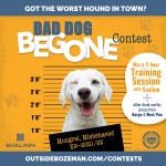 BadDogBegone_Contest_SocialMediaPost_Web