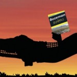 BozemanforDummies_BLG21 copy