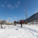 SpecimenCreekWinter-JackTaylor-3_LR