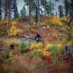 DavidTucker-WhitefishBikeRetreat_001