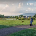 dogpoop-gcrp-speterson_100_lr