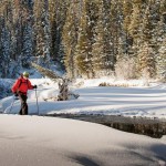 snowshoeingynp-motbd_3104_lr