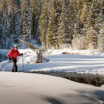 Snowshoeing, Yellowstone National Park