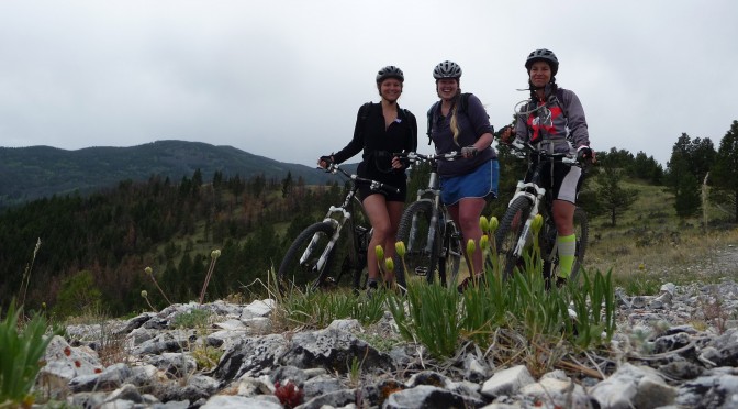 BikersBangtailGrassyMtn-AngieMangels