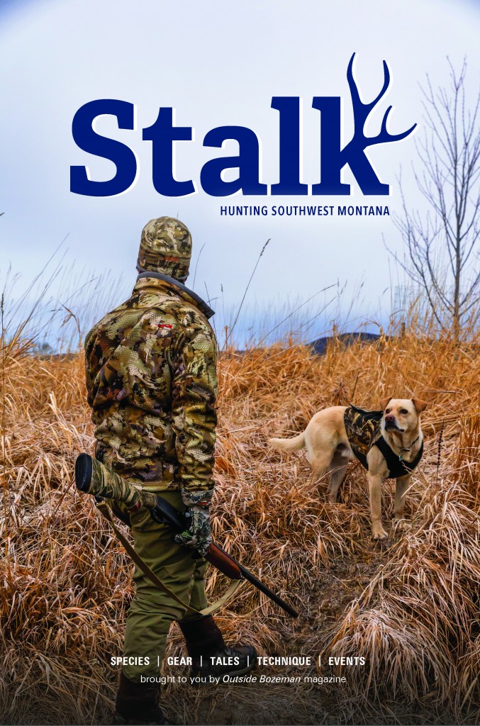 Stalk_2024_Cover